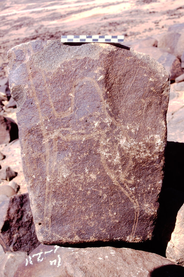 inscription of siglum Is.Mu 243