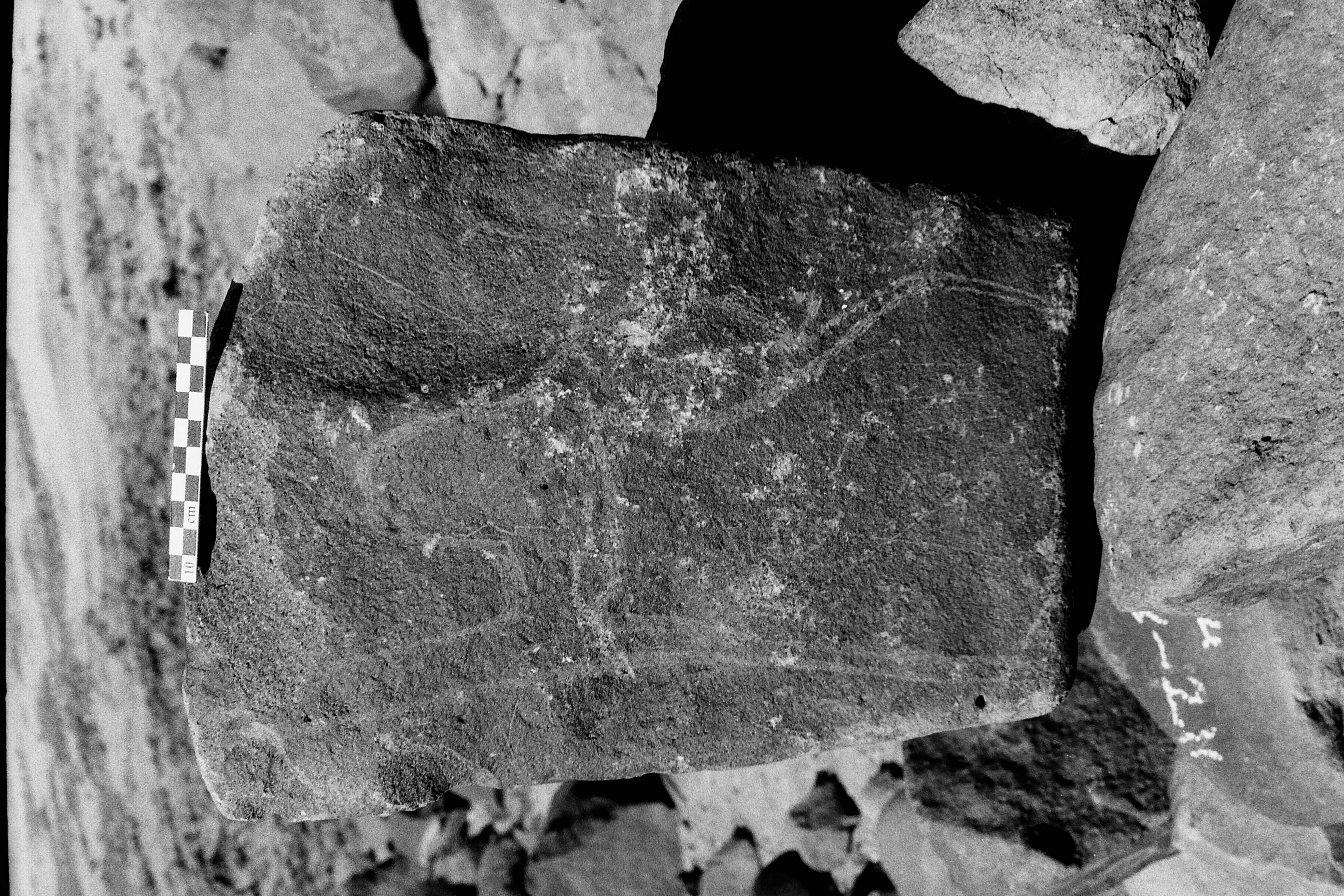 inscription of siglum Is.Mu 243