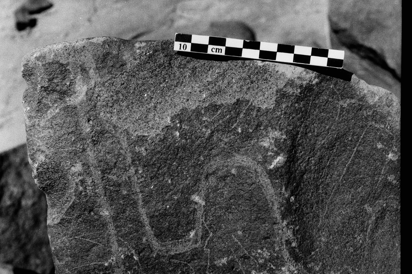 inscription of siglum Is.Mu 244