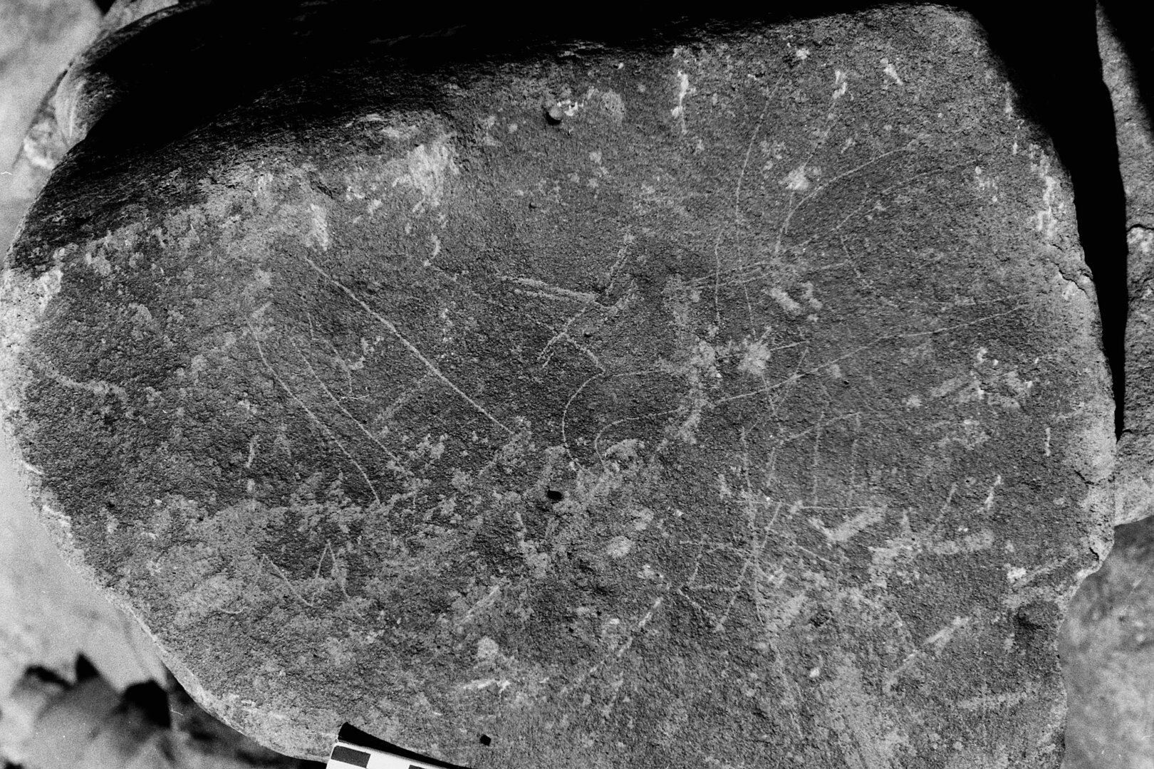 inscription of siglum Is.Mu 246