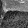 inscription of siglum Is.Mu 254