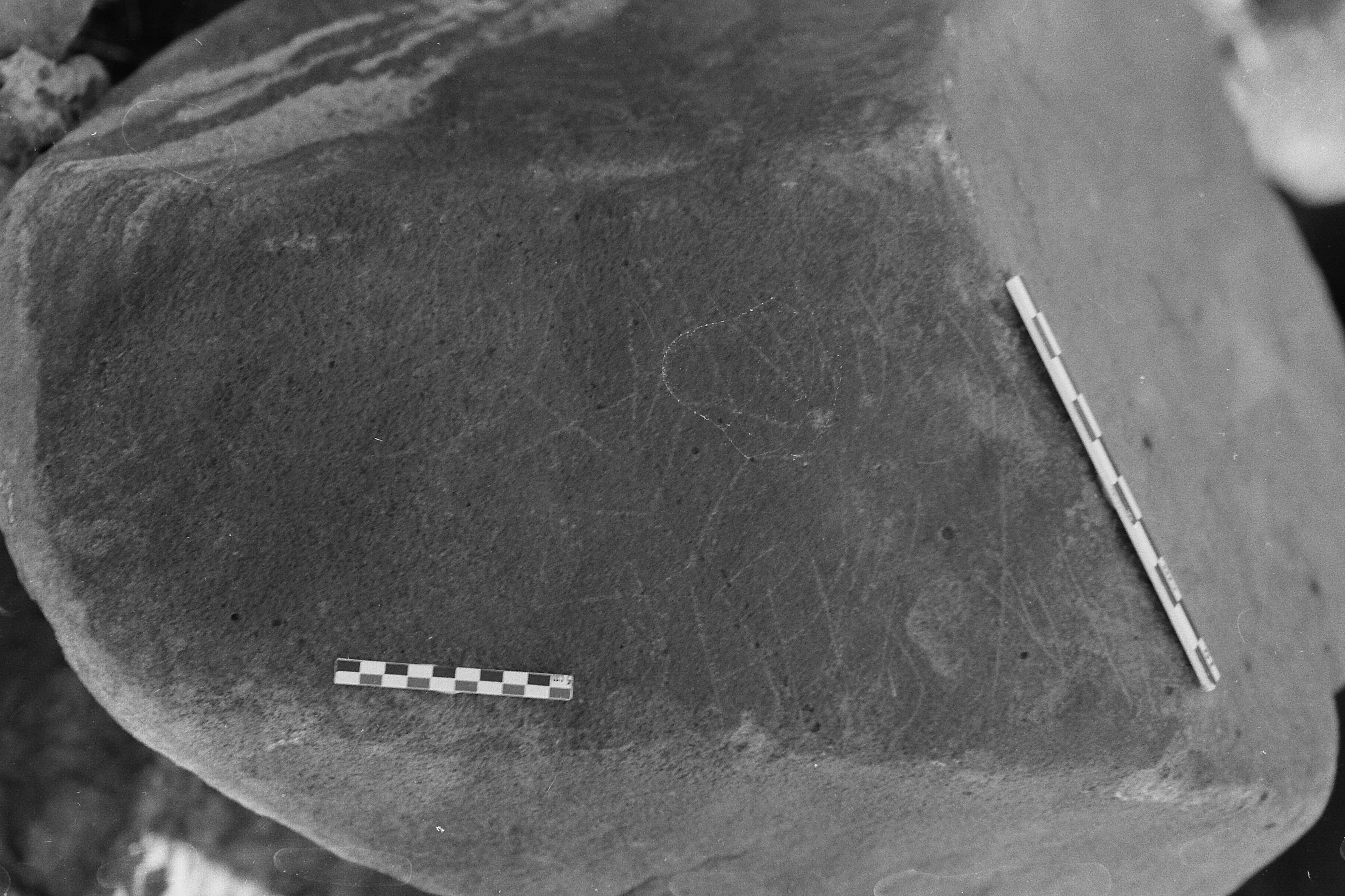 inscription of siglum Is.Mu 255