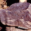 inscription of siglum Is.Mu 255