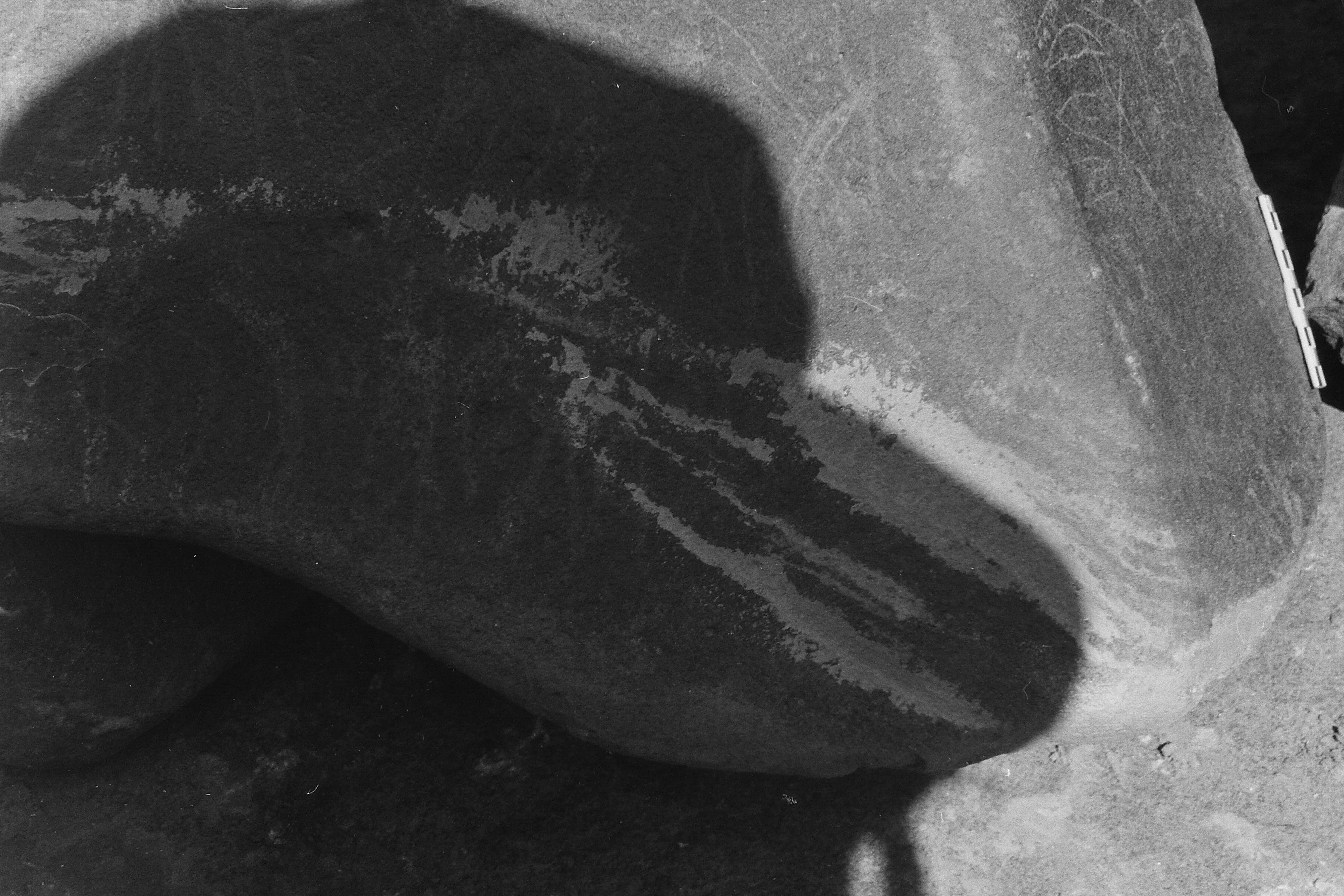inscription of siglum Is.Mu 257