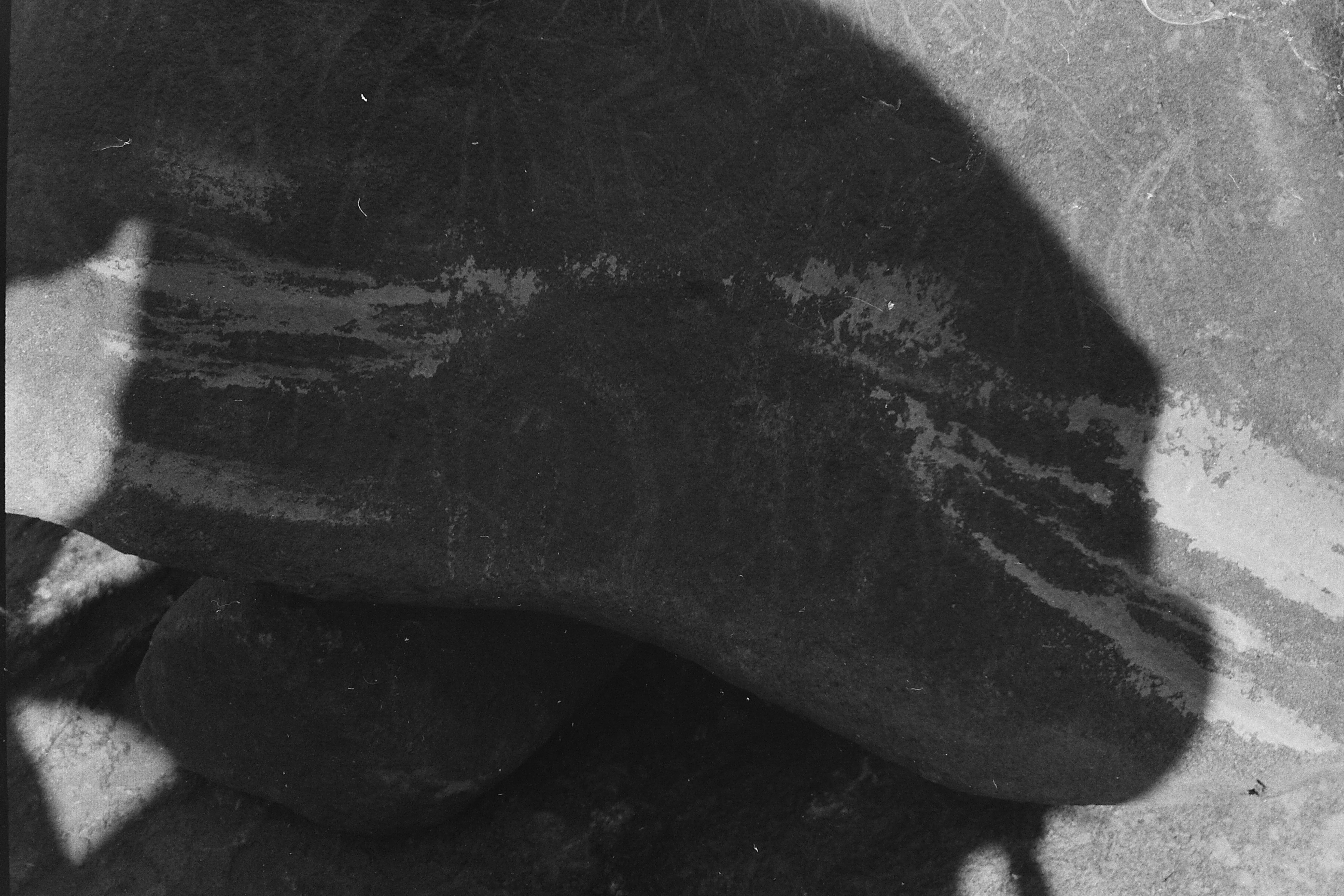 inscription of siglum Is.Mu 257