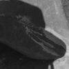 inscription of siglum Is.Mu 257
