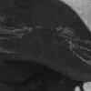 inscription of siglum Is.Mu 257