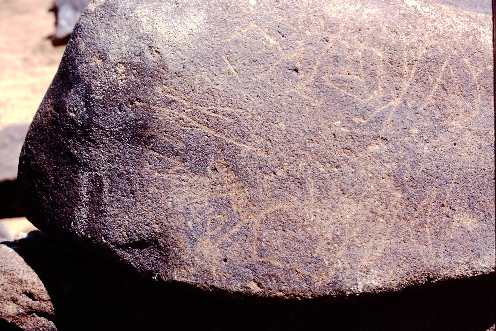 inscription of siglum Is.Mu 263