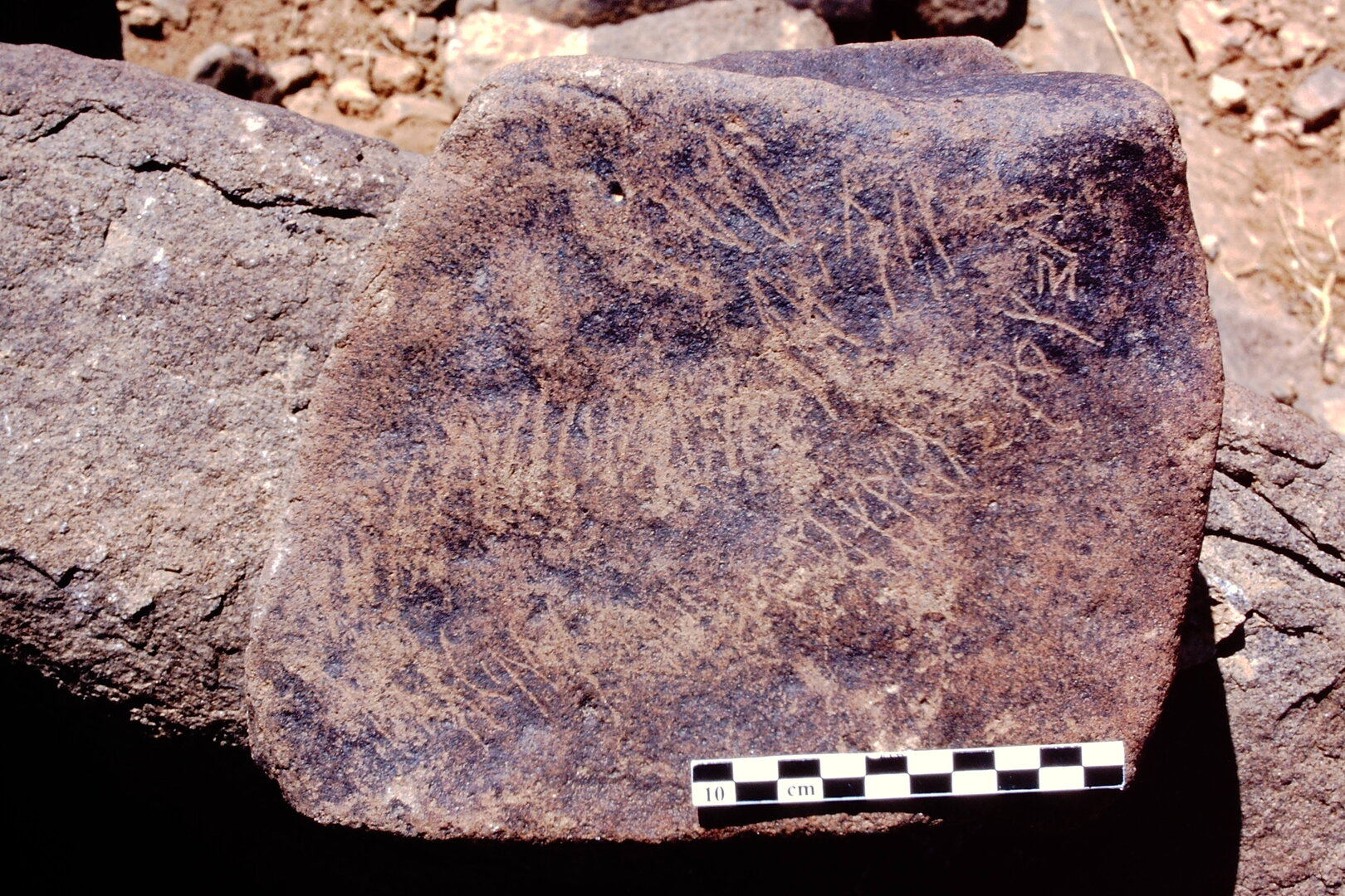 inscription of siglum Is.Mu 264
