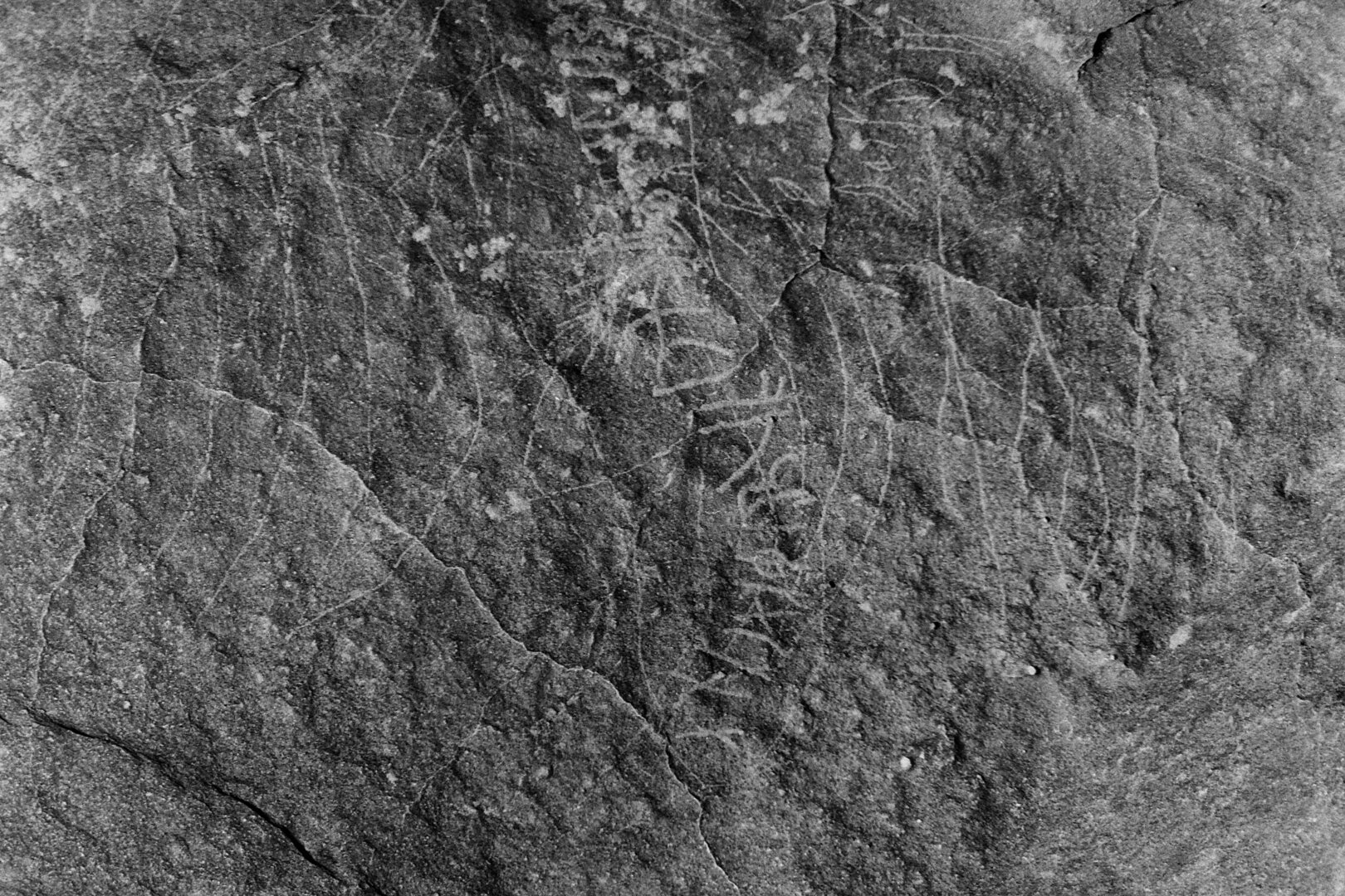 inscription of siglum Is.Mu 279