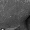 inscription of siglum Is.Mu 282