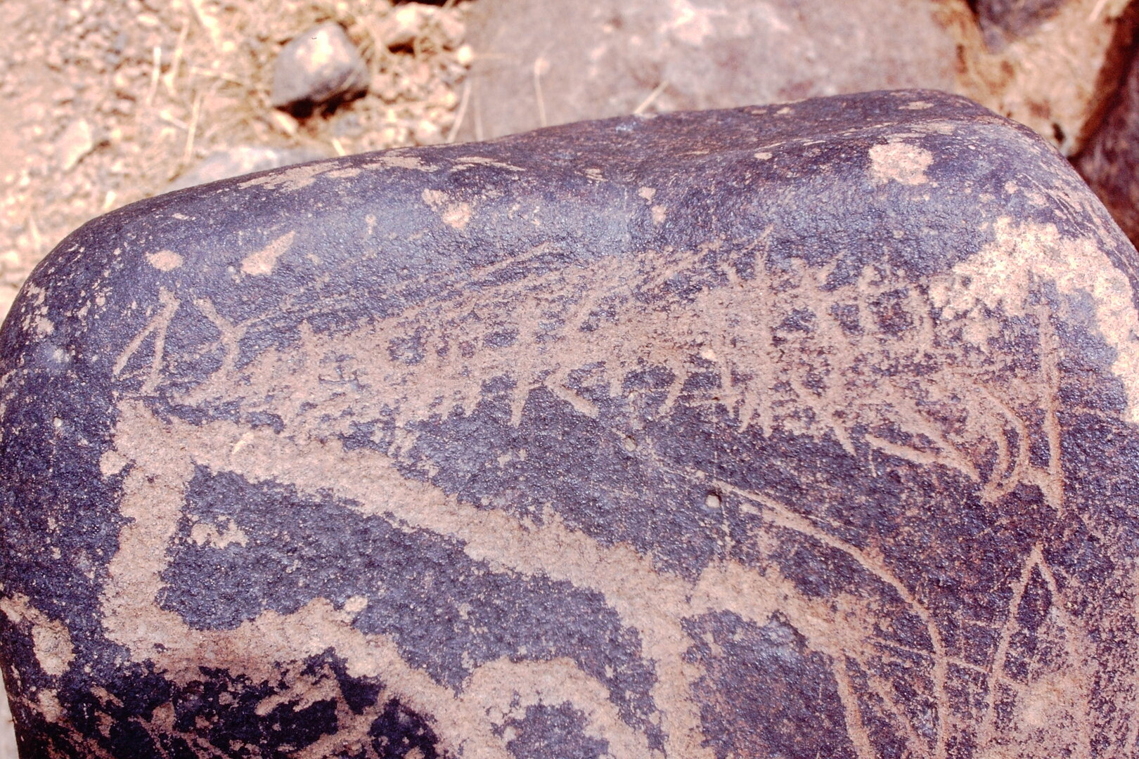 inscription of siglum Is.Mu 287