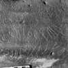 inscription of siglum Is.Mu 290.1