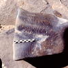 inscription of siglum Is.Mu 290