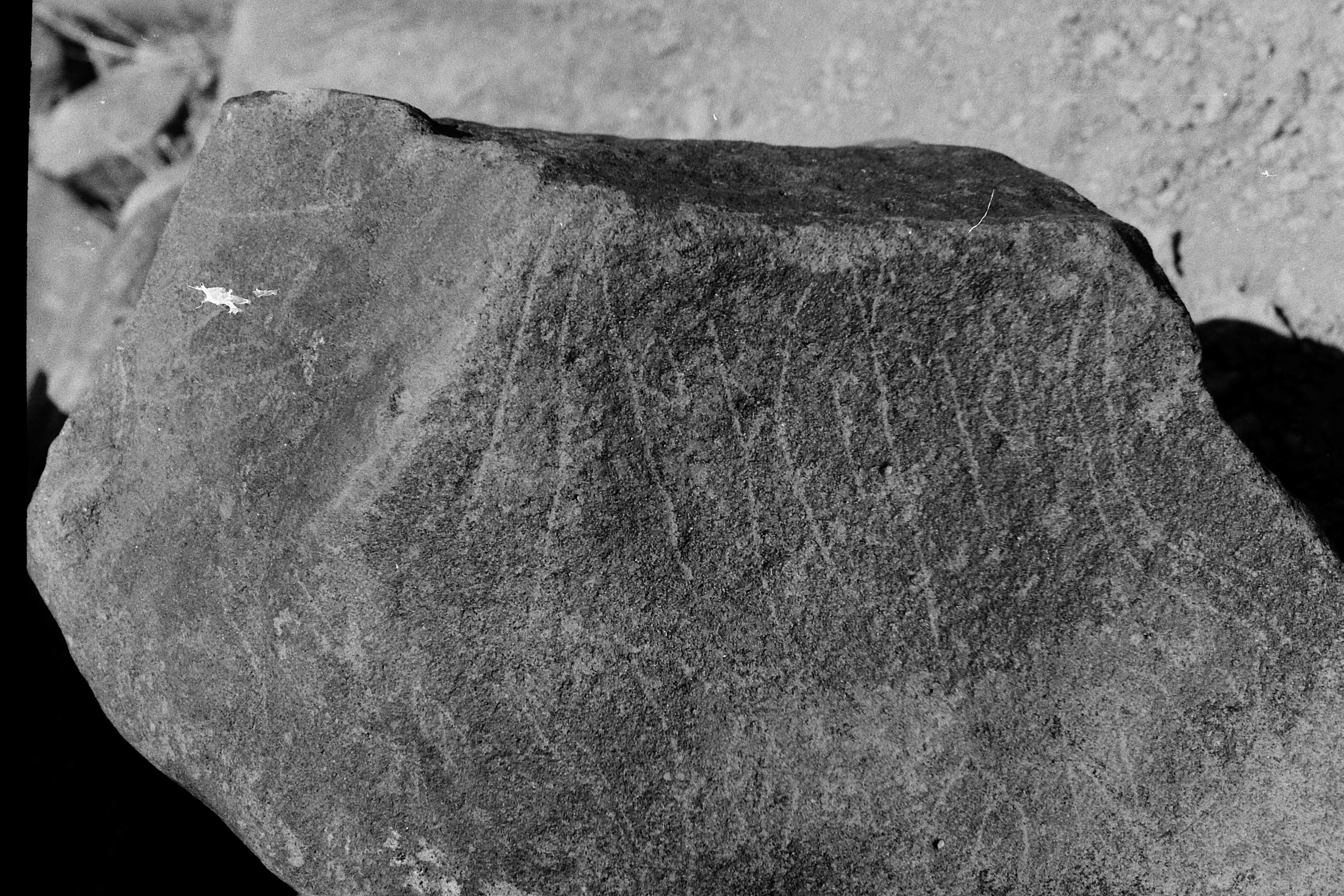 inscription of siglum Is.Mu 292