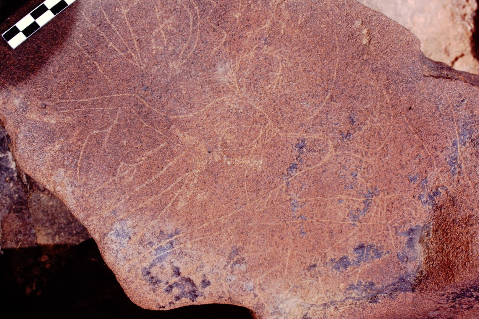 inscription of siglum Is.Mu 302