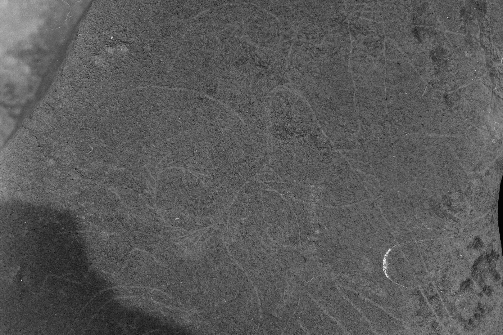 inscription of siglum Is.Mu 302