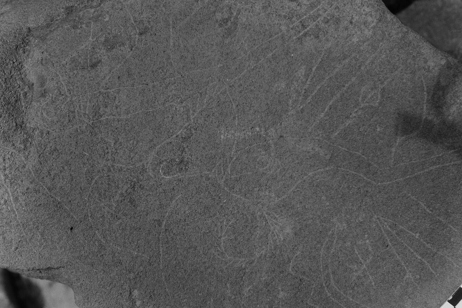 inscription of siglum Is.Mu 302