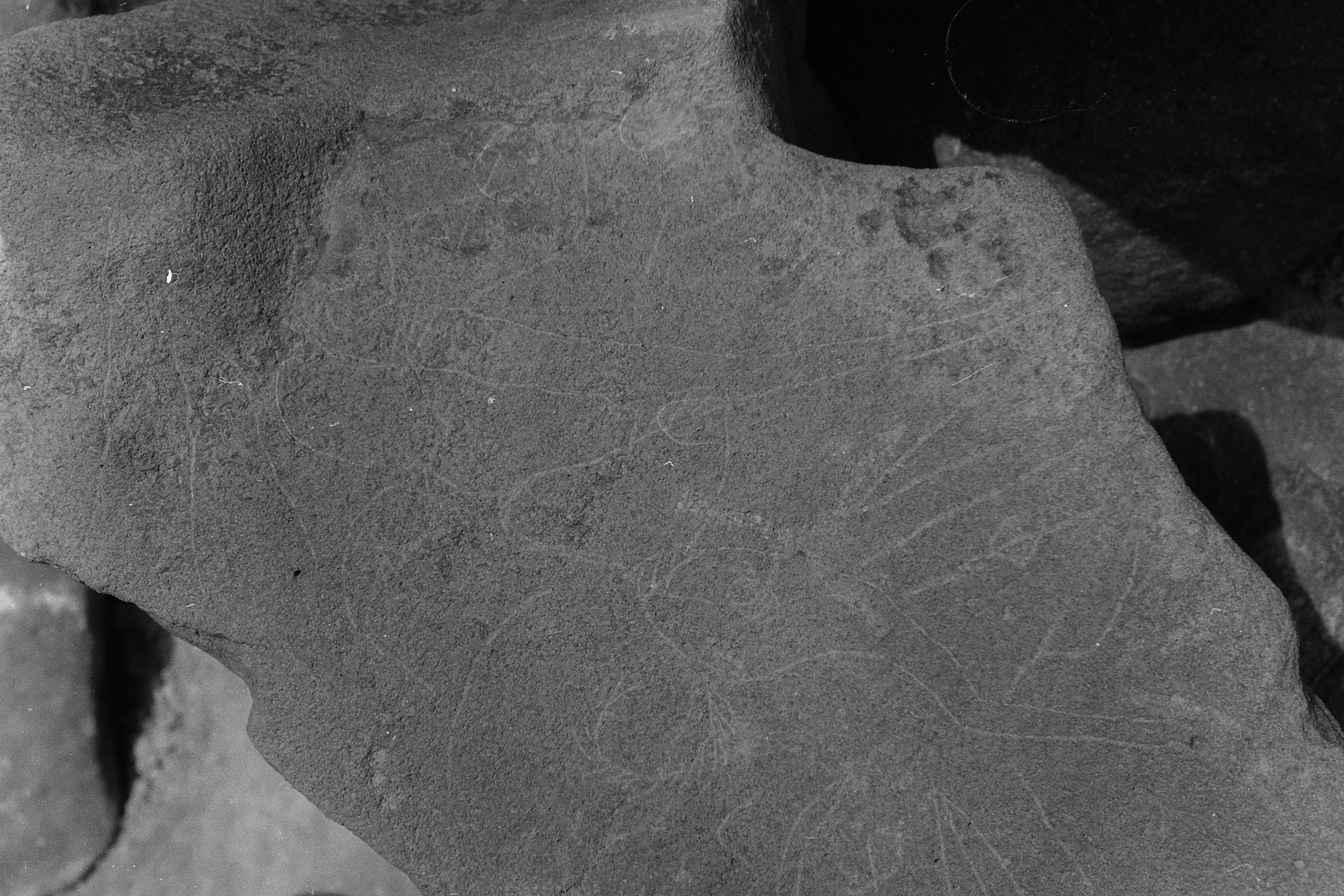 inscription of siglum Is.Mu 302