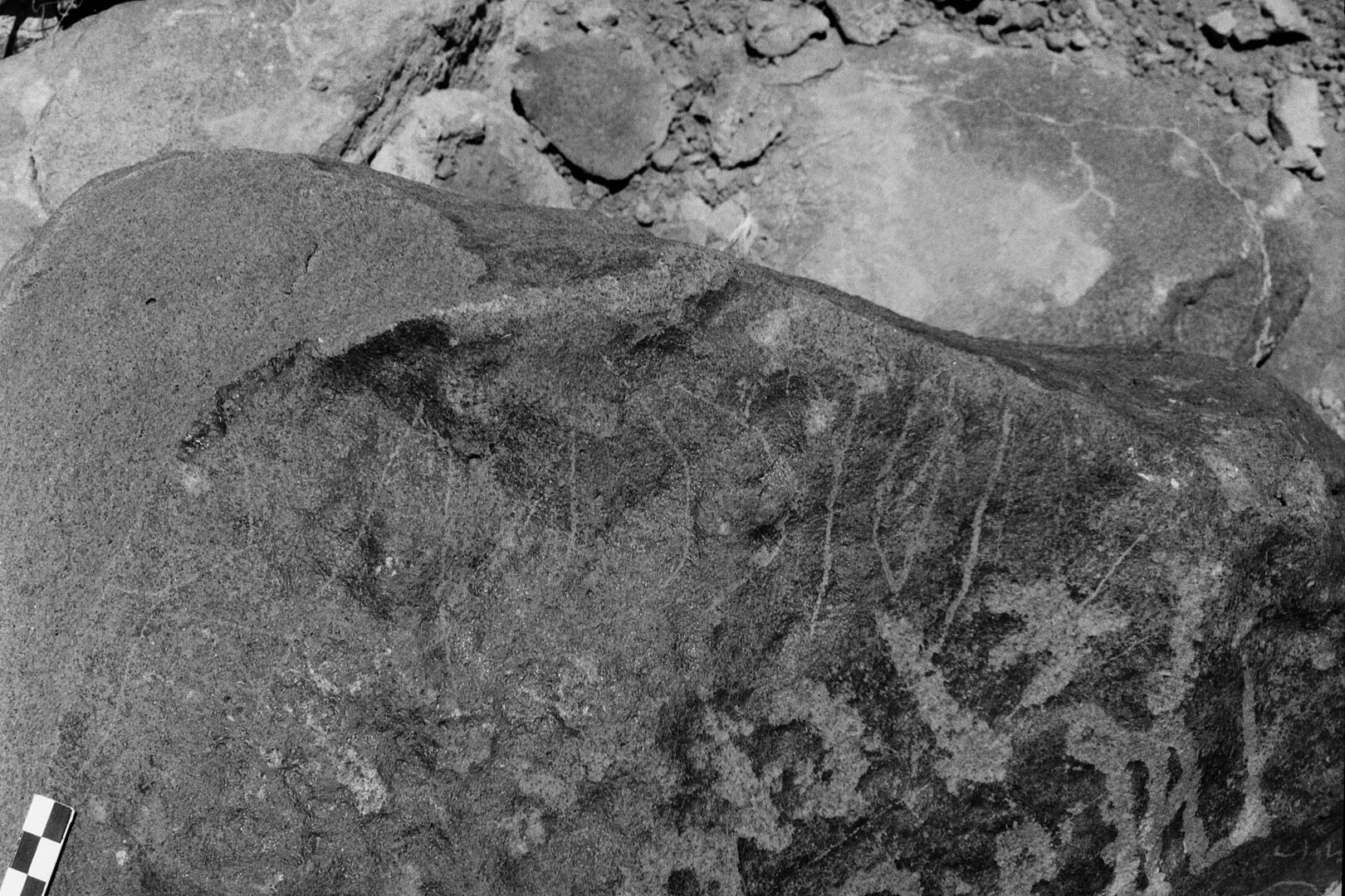 inscription of siglum Is.Mu 307