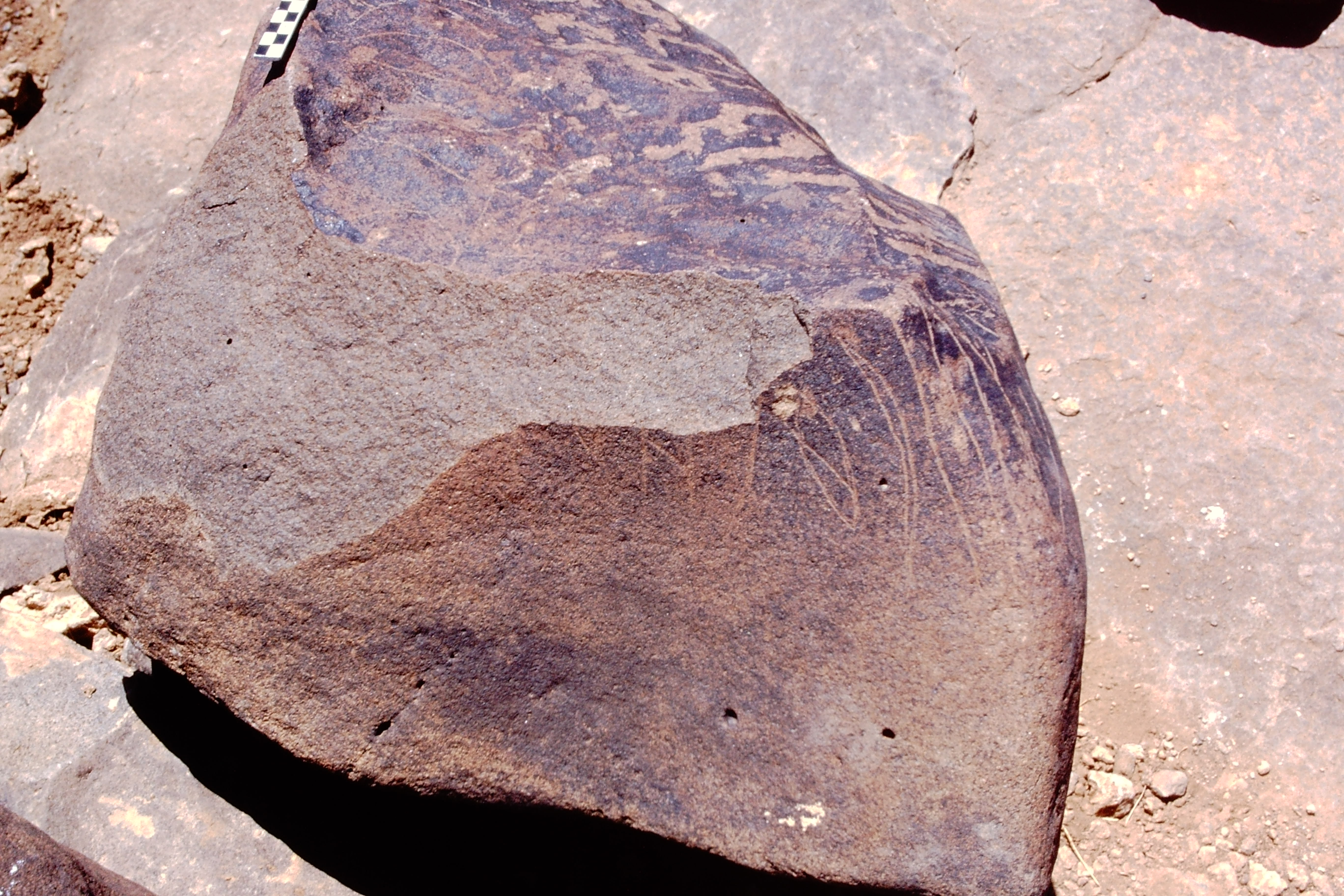 inscription of siglum Is.Mu 309
