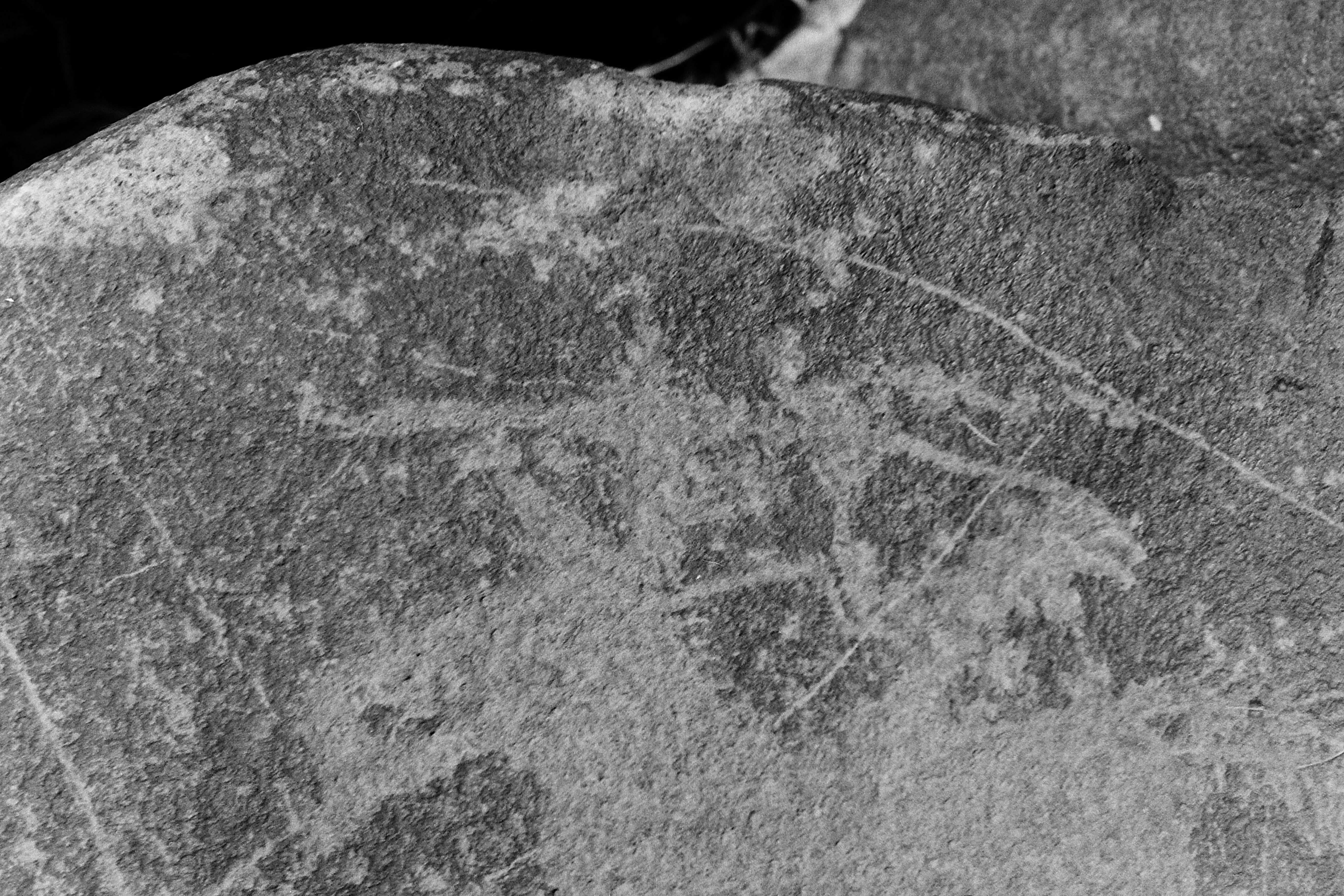 inscription of siglum Is.Mu 312.1