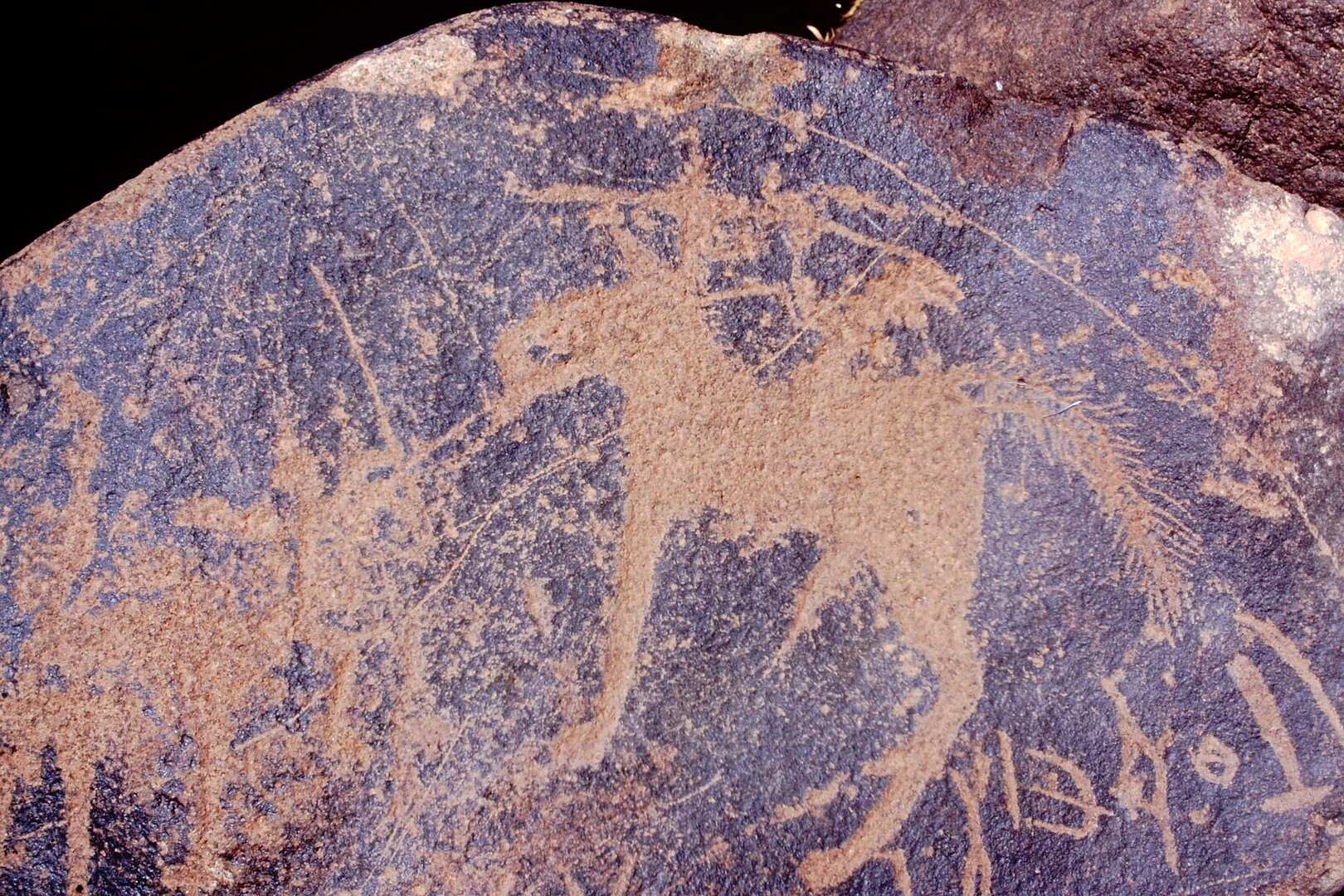 inscription of siglum Is.Mu 312