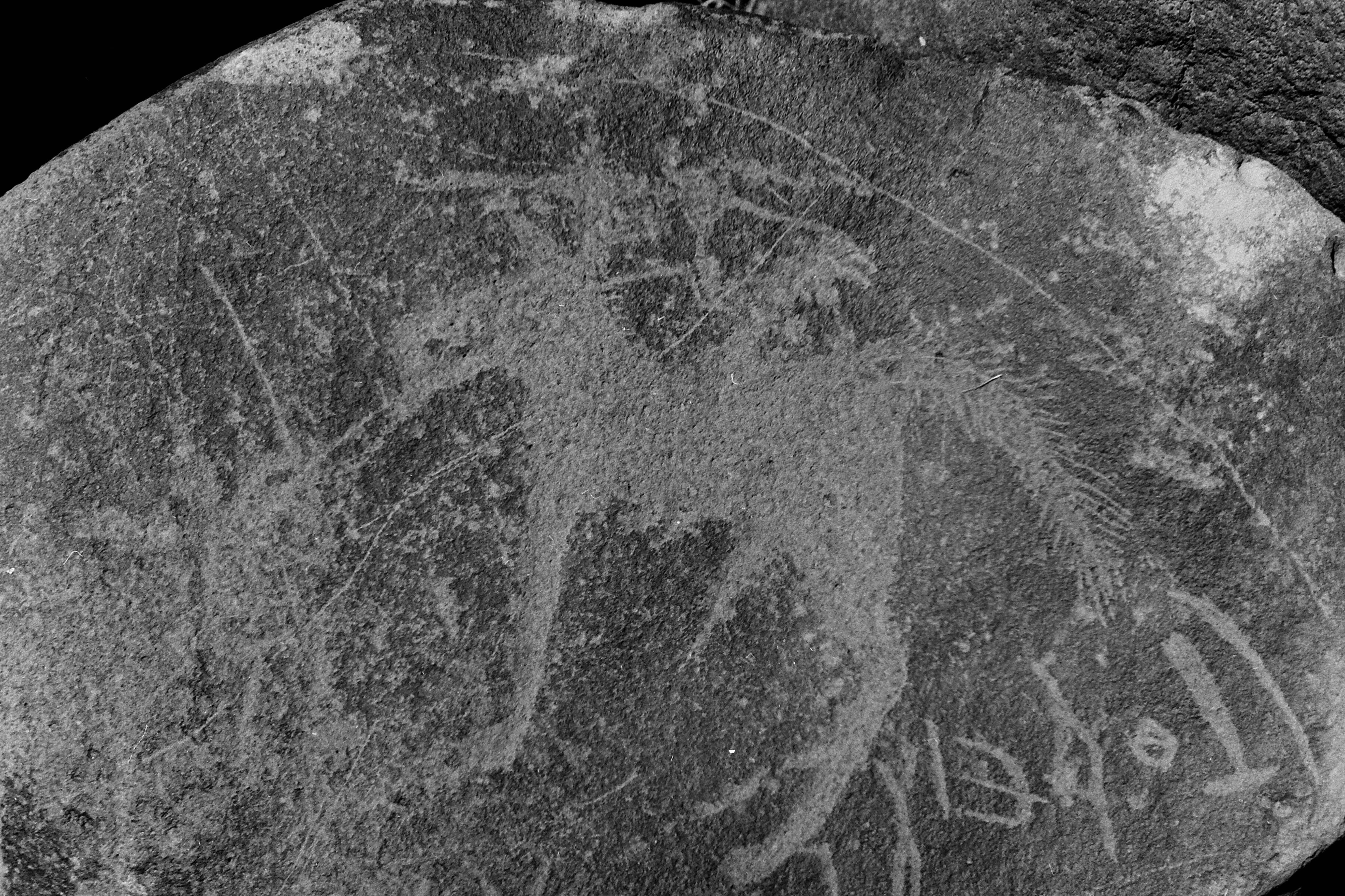 inscription of siglum Is.Mu 312