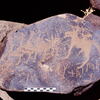 inscription of siglum Is.Mu 312