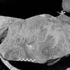 inscription of siglum Is.Mu 312