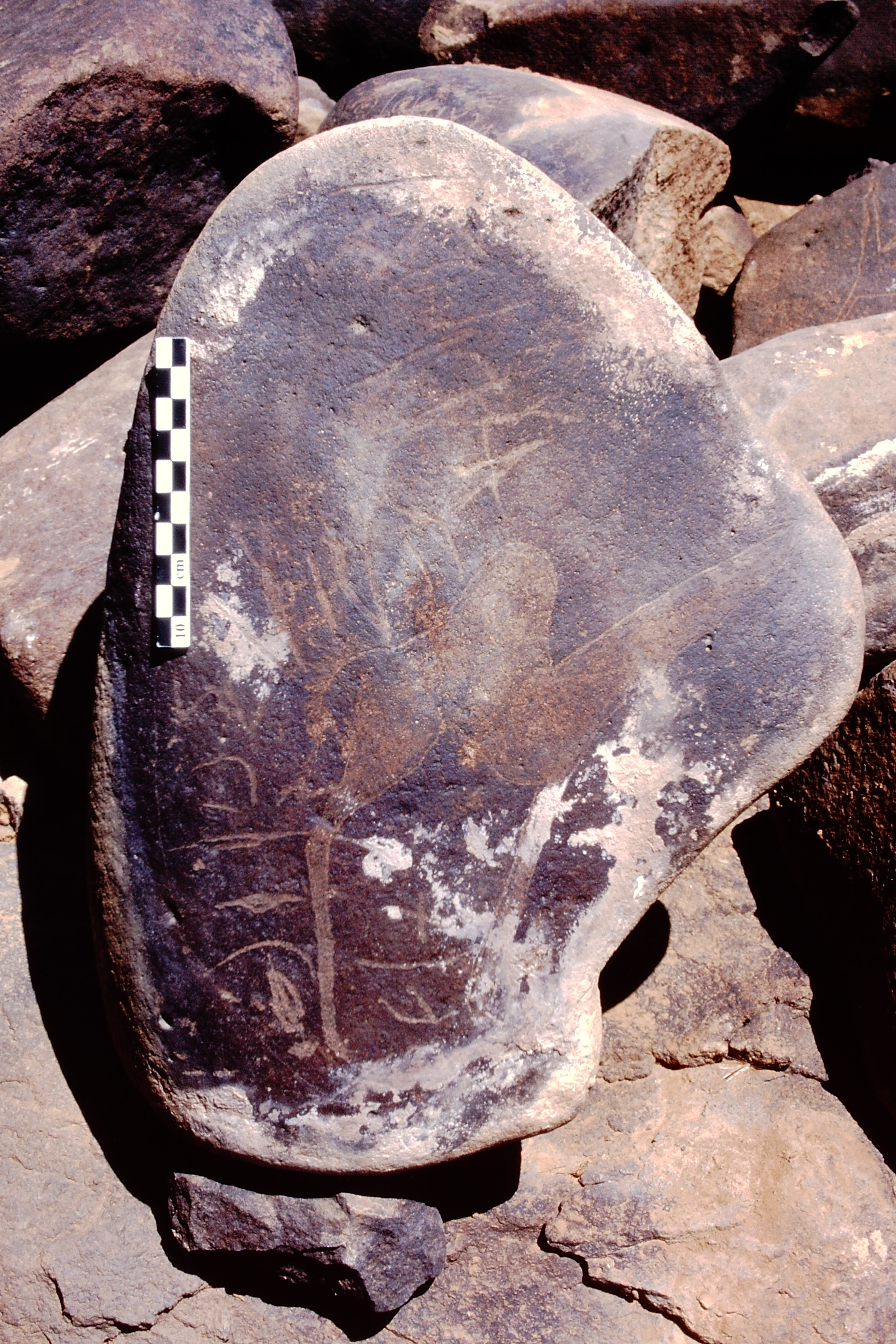 inscription of siglum Is.Mu 314