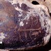 inscription of siglum Is.Mu 314