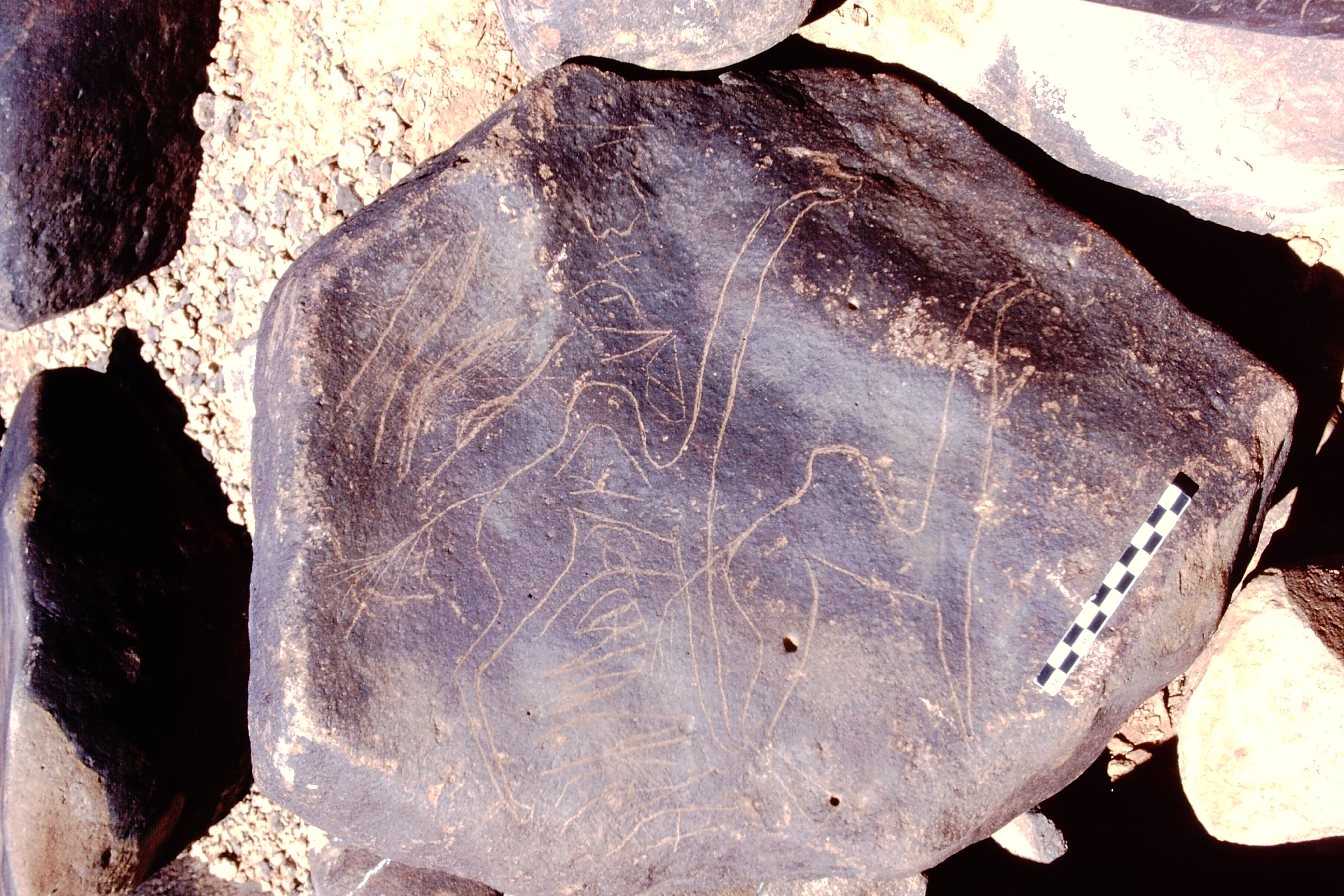 inscription of siglum Is.Mu 316