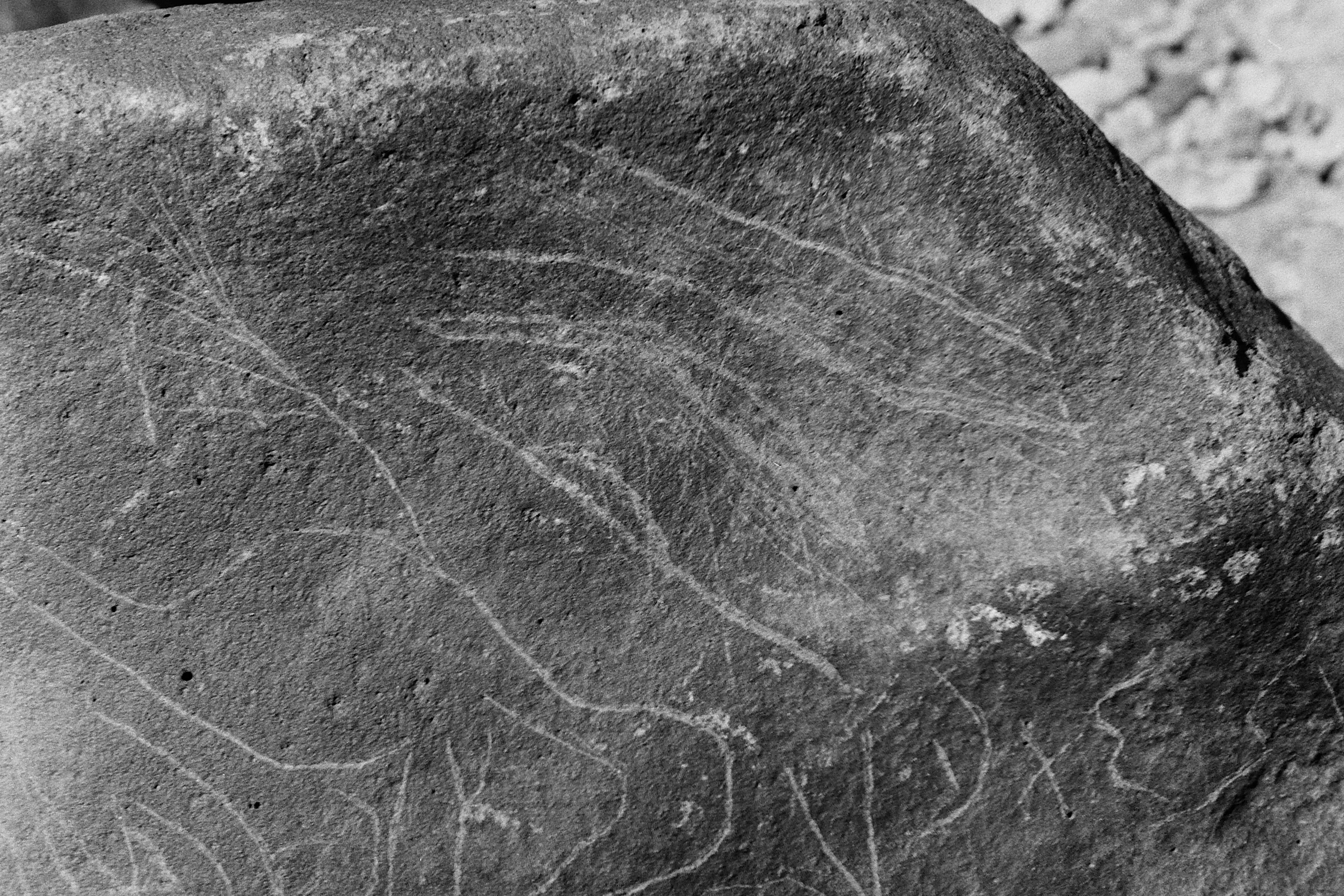 inscription of siglum Is.Mu 316