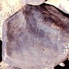 inscription of siglum Is.Mu 316
