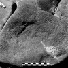 inscription of siglum Is.Mu 320