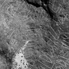 inscription of siglum Is.Mu 321