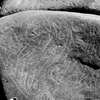 inscription of siglum Is.Mu 321