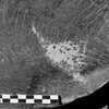inscription of siglum Is.Mu 321