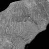 inscription of siglum Is.Mu 321