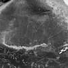 inscription of siglum Is.Mu 322