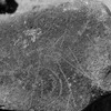 inscription of siglum Is.Mu 328.1
