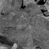 inscription of siglum Is.Mu 330