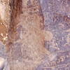 inscription of siglum Is.Mu 337