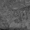 inscription of siglum Is.Mu 337