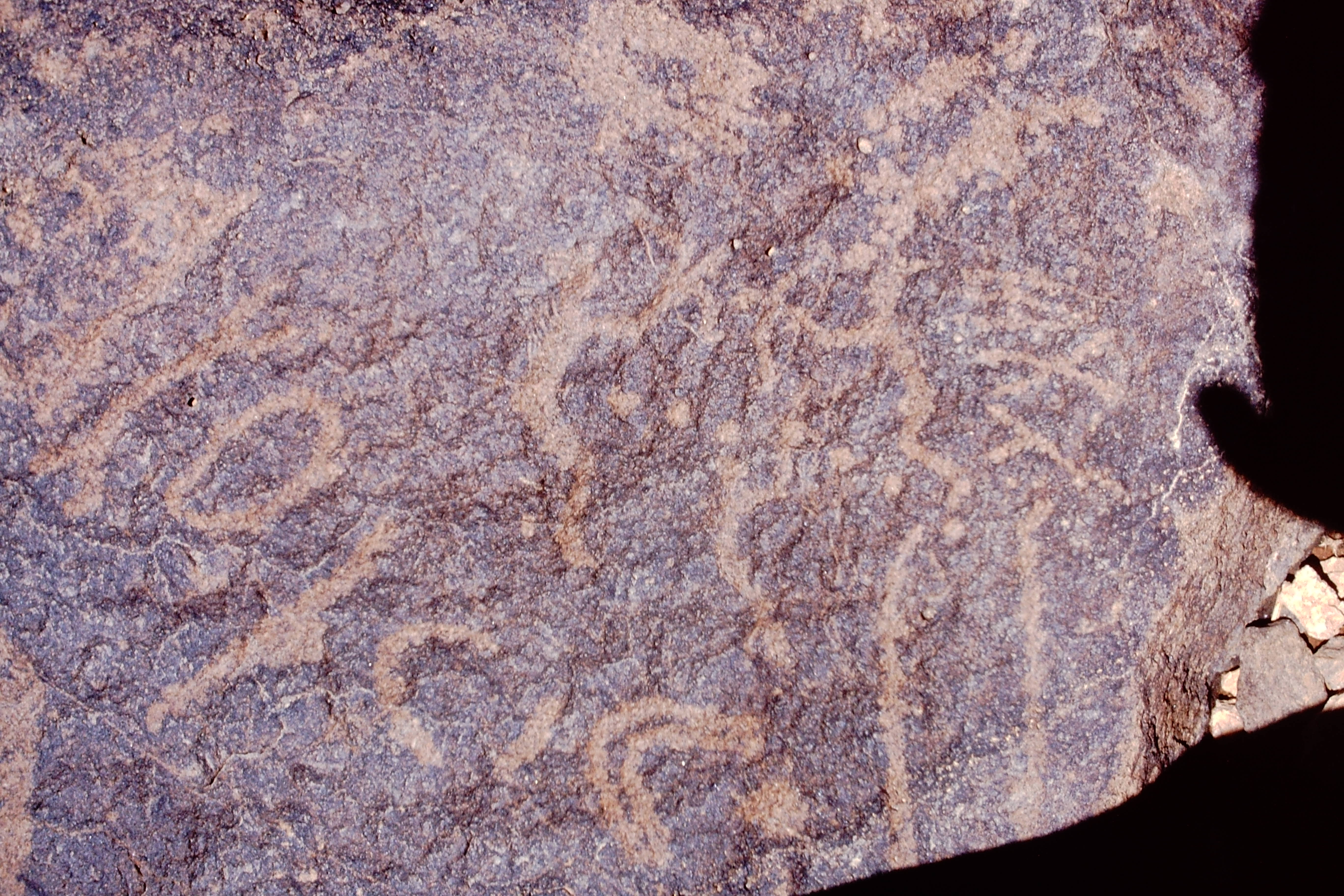 inscription of siglum Is.Mu 341