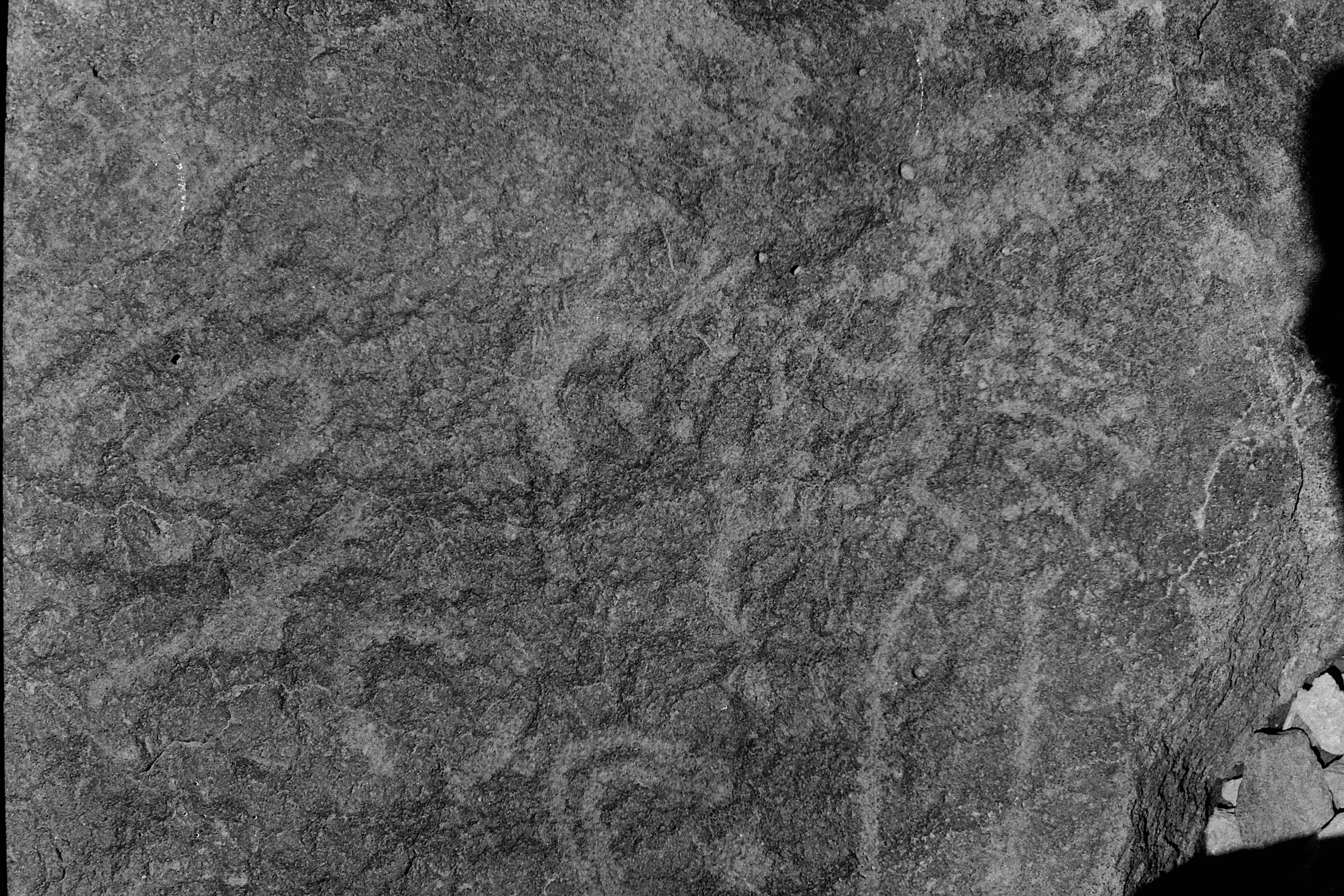 inscription of siglum Is.Mu 341