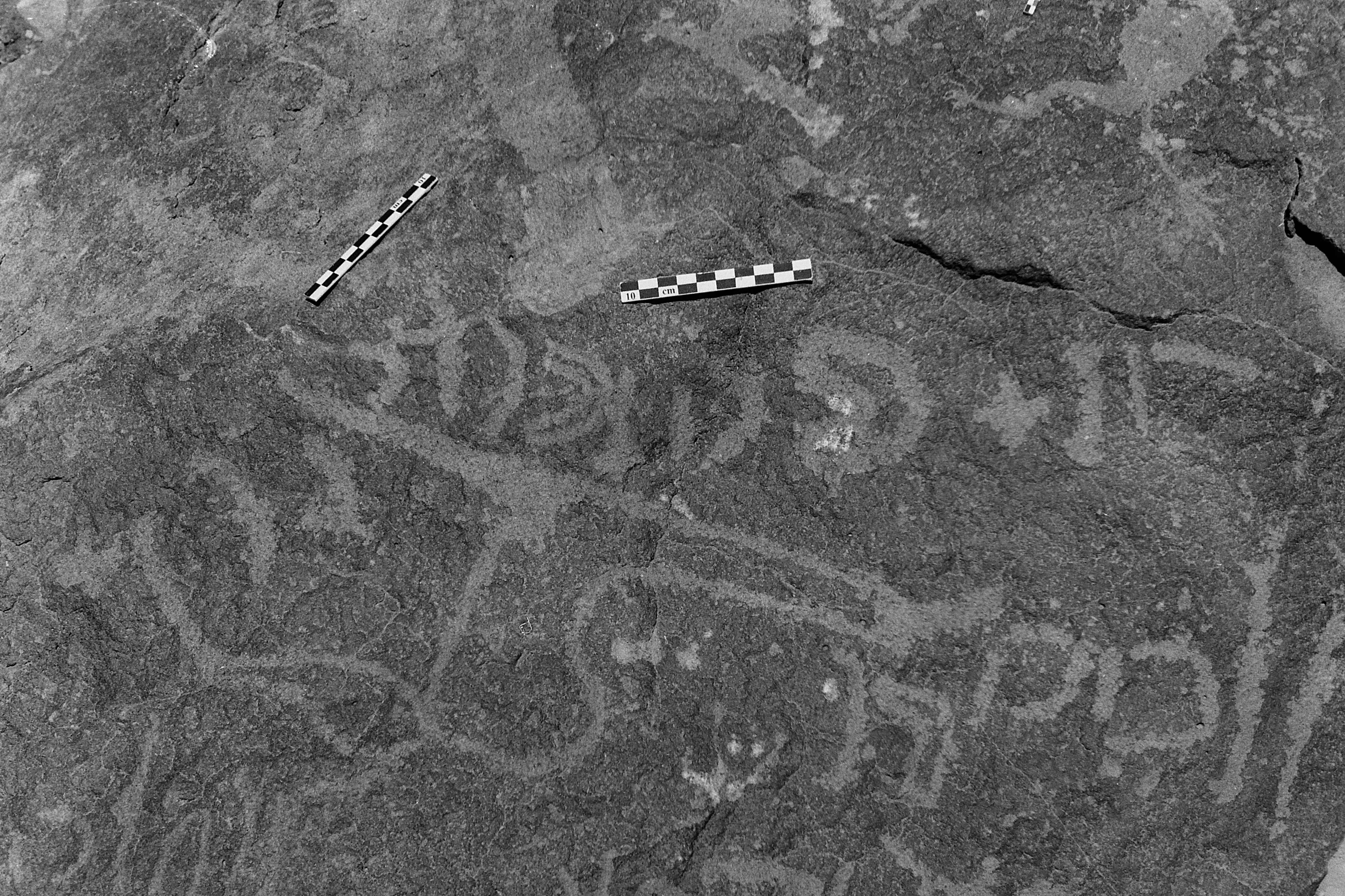 inscription of siglum Is.Mu 341