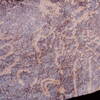 inscription of siglum Is.Mu 341
