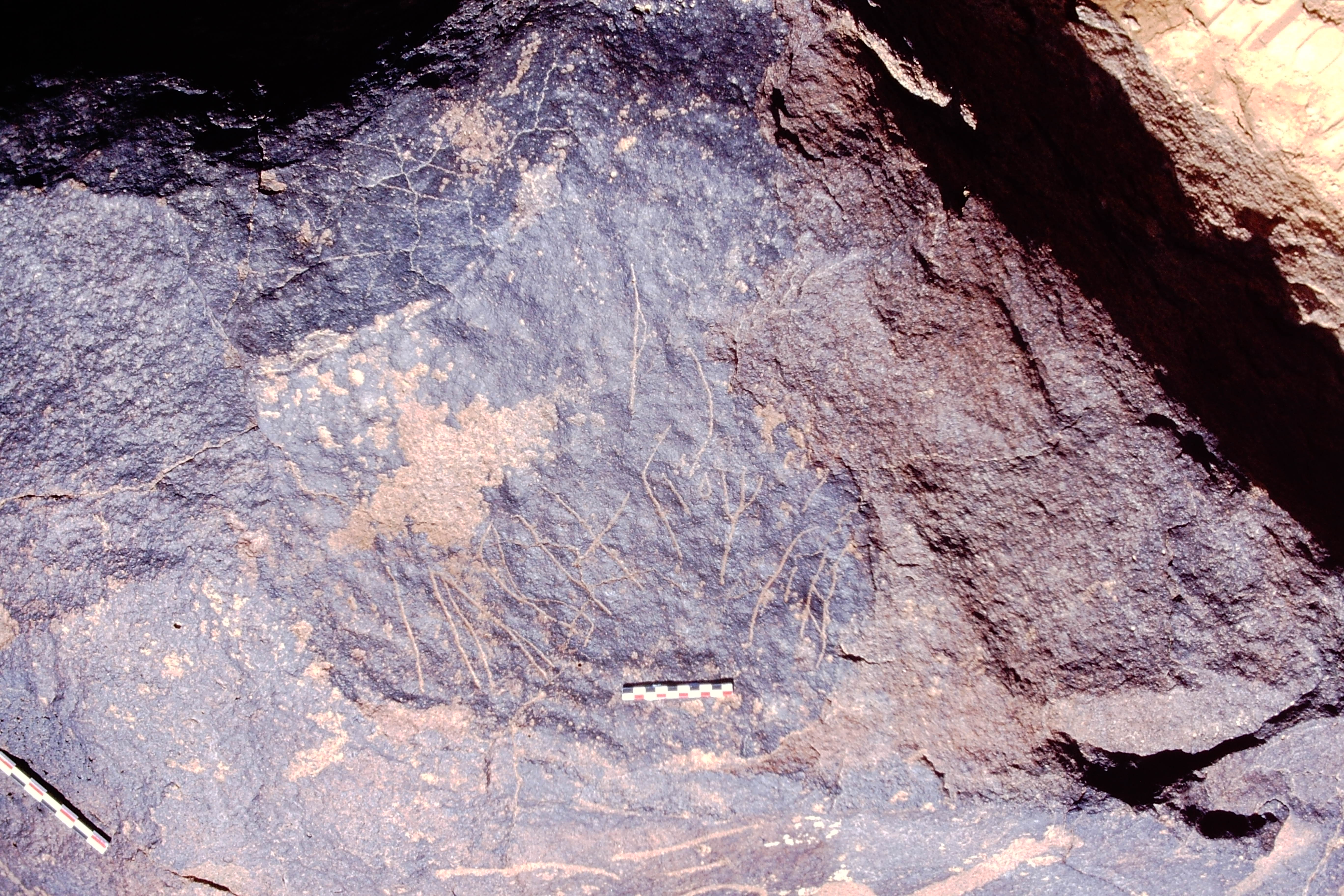 inscription of siglum Is.Mu 342